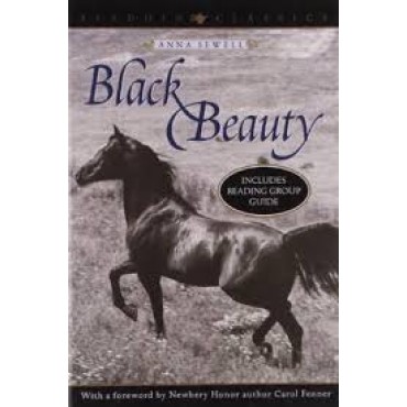 Black Beauty       {USED}